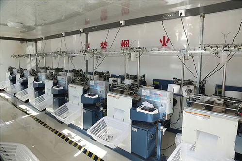 乌审旗嘎查村集体经济 多元住宿服务百花齐放