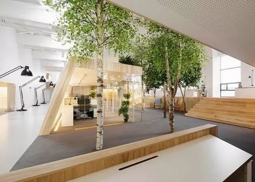 园艺疗法与住宿服务 打造花草环绕的理想办公空间